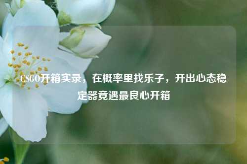 CSGO开箱实录，在概率里找乐子，开出心态稳定器竟遇最良心开箱