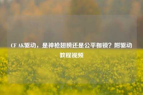 CF AK驱动,是神枪翅膀还是公平枷锁?附驱动教程视频