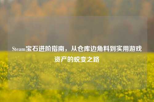 Steam宝石进阶指南,从仓库边角料到实用游戏资产的蜕变之路