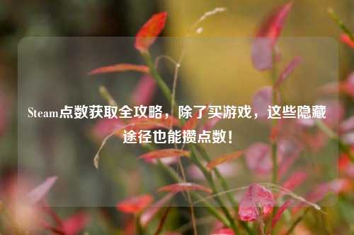 Steam点数获取全攻略,除了买游戏,这些隐藏途径也能攒点数!