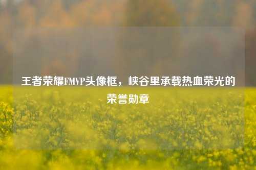 王者荣耀FMVP头像框，峡谷里承载热血荣光的荣誉勋章