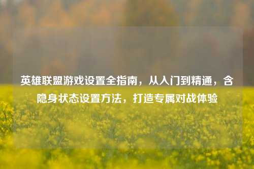 英雄联盟游戏设置全指南，从入门到精通，含隐身状态设置方法，打造专属对战体验