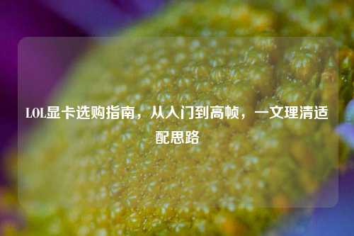 LOL显卡选购指南，从入门到高帧，一文理清适配思路