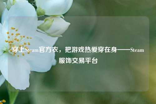 穿上Steam官方衣，把游戏热爱穿在身——Steam服饰交易平台