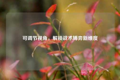 可调节视角，解锁战术博弈新维度