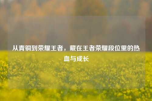 从青铜到荣耀王者，藏在王者荣耀段位里的热血与成长