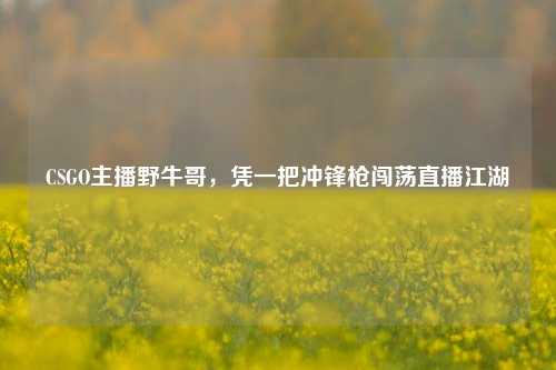CSGO主播野牛哥，凭一把冲锋枪闯荡直播江湖