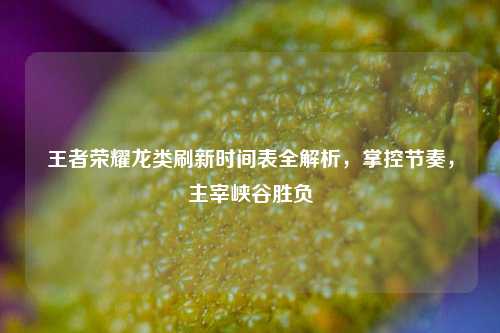 王者荣耀龙类刷新时间表全解析，掌控节奏，主宰峡谷胜负