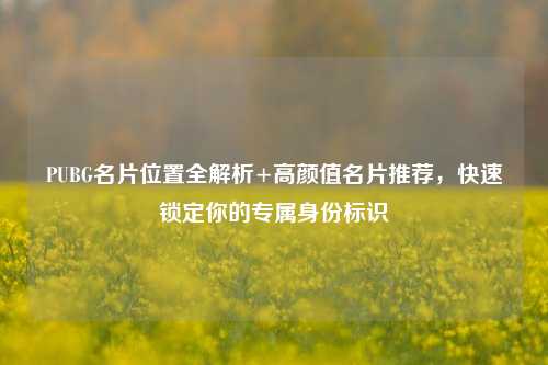 PUBG名片位置全解析+高颜值名片推荐，快速锁定你的专属身份标识