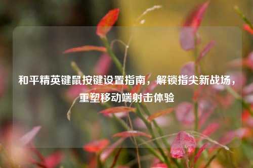 和平精英键鼠按键设置指南,解锁指尖新战场,重塑移动端射击体验