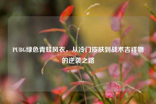 PUBG绿色青蛙风衣，从冷门皮肤到战术吉祥物的逆袭之路