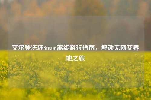 艾尔登法环Steam离线游玩指南，解锁无网交界地之旅