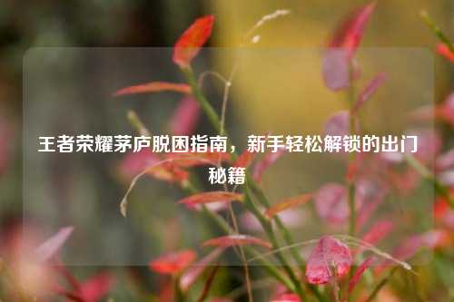 王者荣耀茅庐脱困指南，新手轻松解锁的出门秘籍