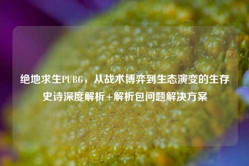绝地求生PUBG，从战术博弈到生态演变的生存史诗深度解析+解析包问题解决方案