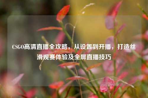 CSGO高清直播全攻略,从设置到开播,打造丝滑观赛体验及全屏直播技巧