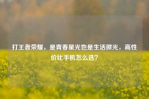 打王者荣耀，是青春星光也是生活微光，高性价比手机怎么选？