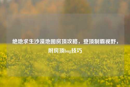绝地求生沙漠地图房顶攻略，登顶制霸视野，附房顶bug技巧