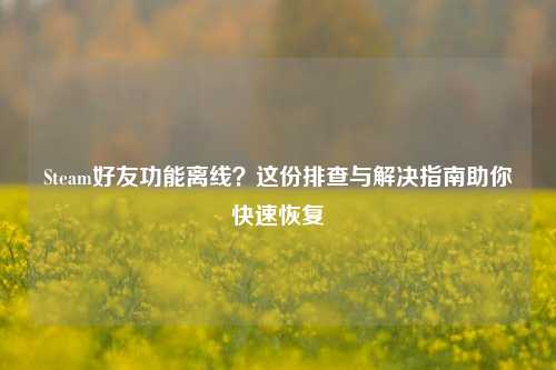 Steam好友功能离线?这份排查与解决指南助你快速恢复