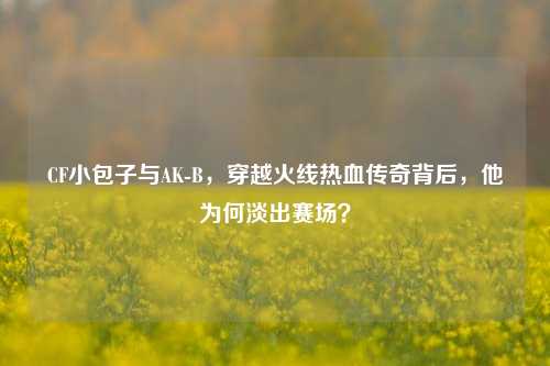 CF小包子与AK-B,穿越火线热血传奇背后,他为何淡出赛场?
