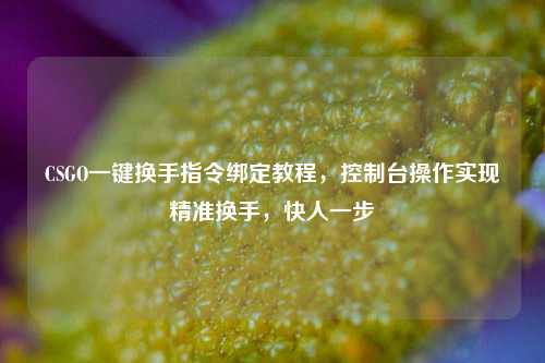 CSGO一键换手指令绑定教程,控制台操作实现精准换手,快人一步