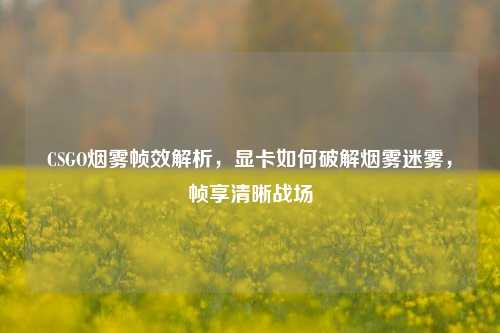 CSGO烟雾帧效解析,显卡如何破解烟雾迷雾,帧享清晰战场