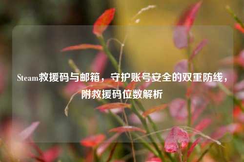 Steam救援码与邮箱，守护账号安全的双重防线，附救援码位数解析