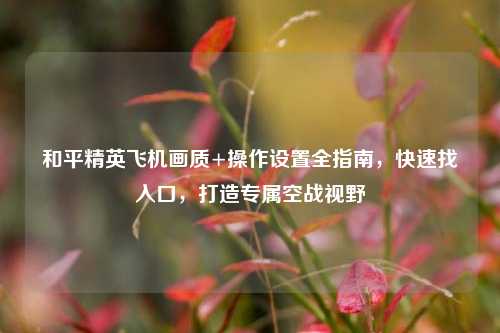 和平精英飞机画质+操作设置全指南，快速找入口，打造专属空战视野
