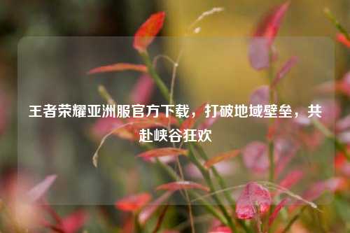 王者荣耀亚洲服官方下载,打破地域壁垒,共赴峡谷狂欢