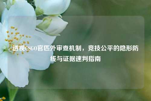 透视CSGO官匹外审查机制，竞技公平的隐形防线与证据速判指南