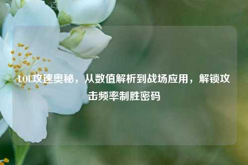 LOL攻速奥秘,从数值解析到战场应用,解锁攻击频率制胜密码