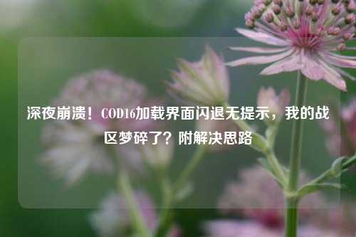 深夜崩溃!COD16加载界面闪退无提示,我的战区梦碎了?附解决思路