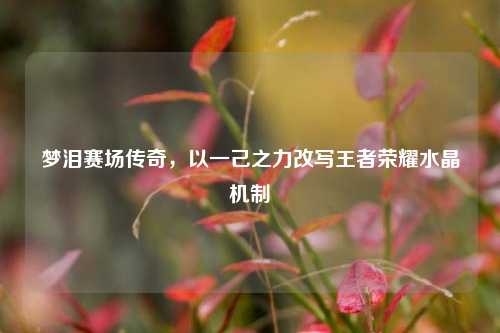 梦泪赛场传奇，以一己之力改写王者荣耀水晶机制
