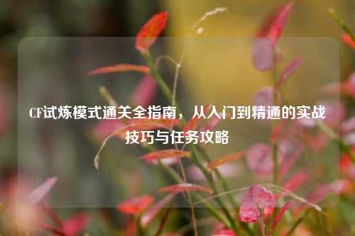 CF试炼模式通关全指南,从入门到精通的实战技巧与任务攻略