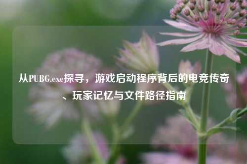 从PUBG.exe探寻，游戏启动程序背后的电竞传奇、玩家记忆与文件路径指南
