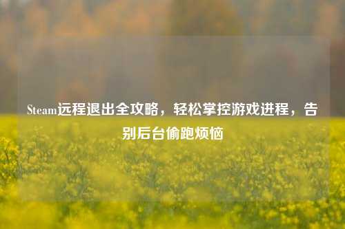 Steam远程退出全攻略,轻松掌控游戏进程,告别后台偷跑烦恼