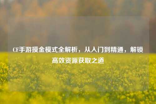 CF手游摸金模式全解析,从入门到精通,解锁高效资源获取之道