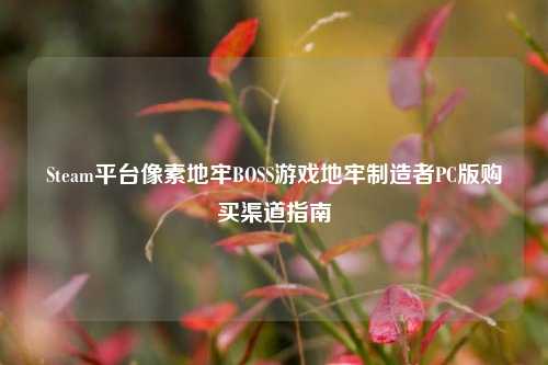 Steam平台像素地牢BOSS游戏地牢制造者PC版购买渠道指南