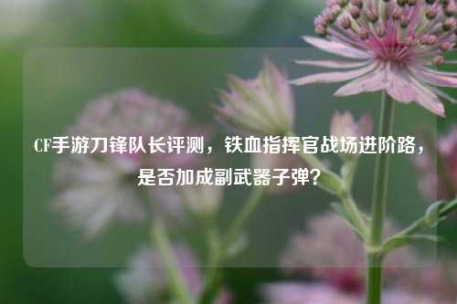CF手游刀锋队长评测,铁血指挥官战场进阶路,是否加成副武器子弹?