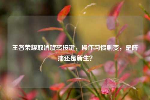 王者荣耀取消旋转按键，操作习惯剧变，是阵痛还是新生？