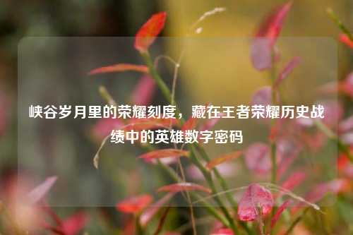 峡谷岁月里的荣耀刻度,藏在王者荣耀历史战绩中的英雄数字密码
