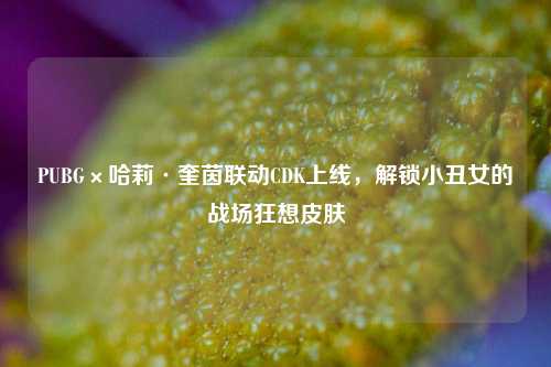 PUBG×哈莉·奎茵联动CDK上线，解锁小丑女的战场狂想皮肤