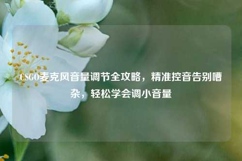 CSGO麦克风音量调节全攻略，精准控音告别嘈杂，轻松学会调小音量