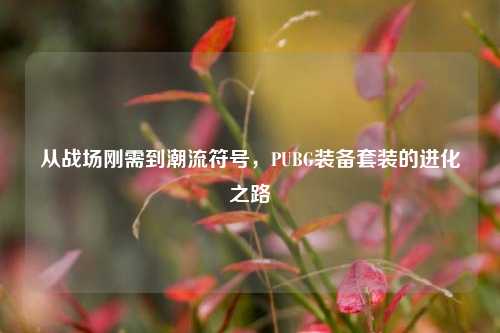 从战场刚需到潮流符号,PUBG装备套装的进化之路