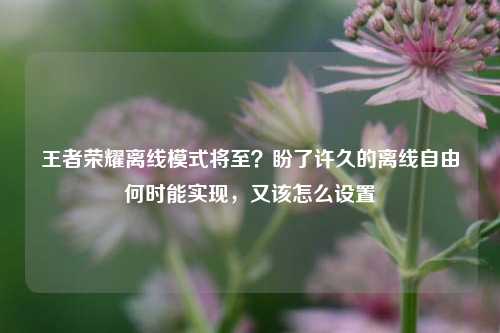 王者荣耀离线模式将至？盼了许久的离线自由何时能实现，又该怎么设置