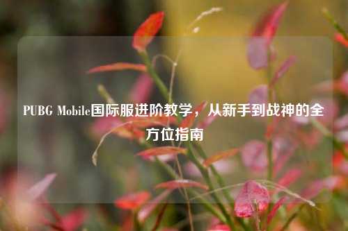 PUBG Mobile国际服进阶教学,从新手到战神的全方位指南