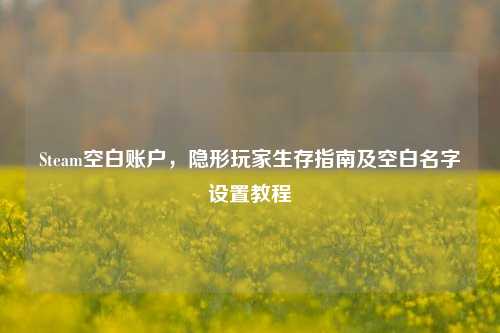 Steam空白账户,隐形玩家生存指南及空白名字设置教程