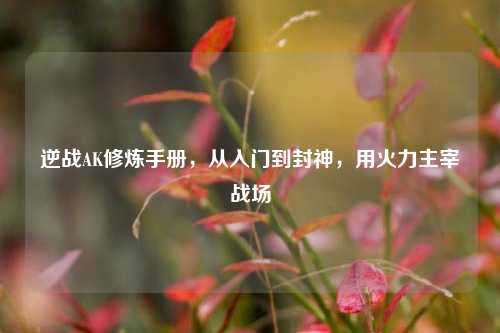 逆战AK修炼手册，从入门到封神，用火力主宰战场