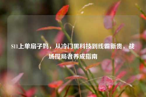 S11上单扇子妈,从冷门黑科技到线霸新贵,战场搅局者养成指南
