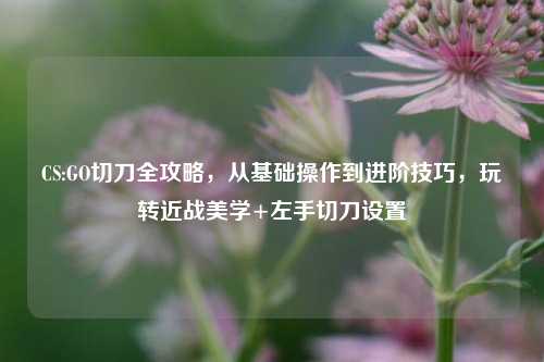 CS:GO切刀全攻略,从基础操作到进阶技巧,玩转近战美学+左手切刀设置