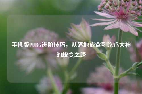 手机版PUBG进阶技巧,从落地成盒到吃鸡大神的蜕变之路
